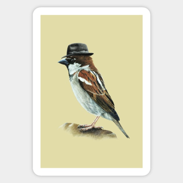 Italian sparrow Sticker by Mikhail Vedernikov